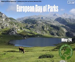 yapboz Avrupa Parklar Günü